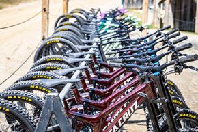 Picture for category Bike Rentals