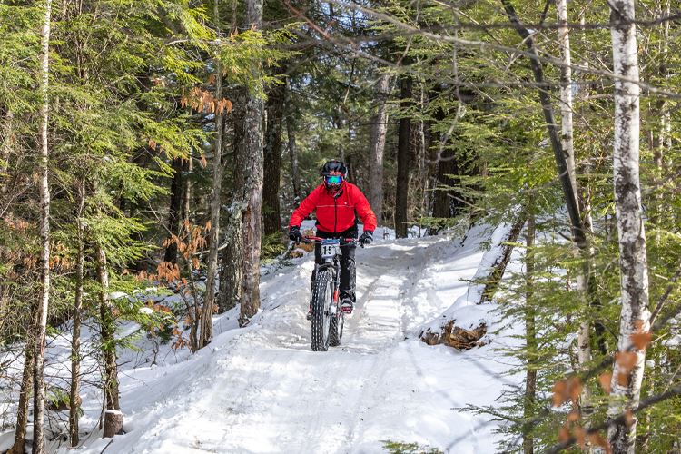 Picture for category Fat Bikes