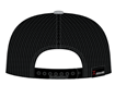 Picture of 20th Anniversary Leather Patch Hat