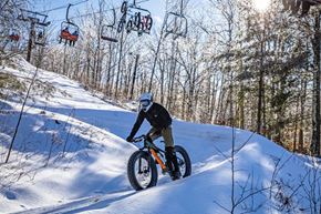 Picture for category Winter Woolly